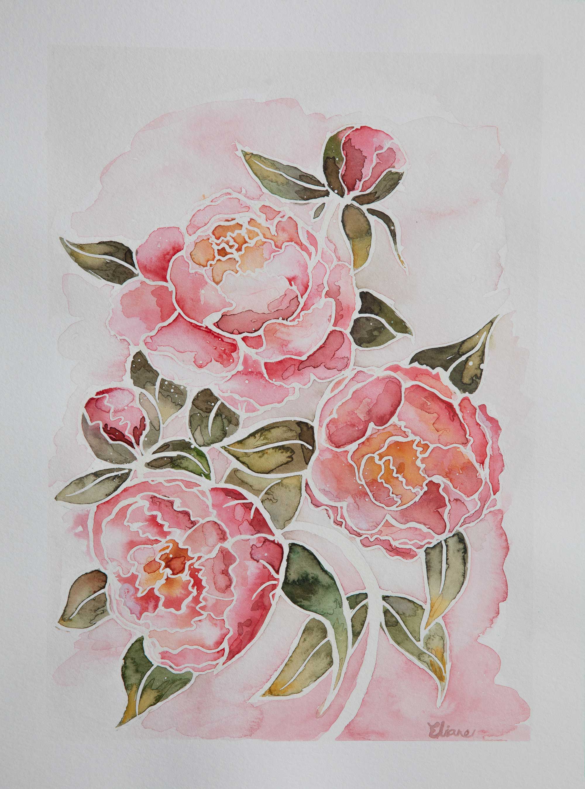 Pivoines