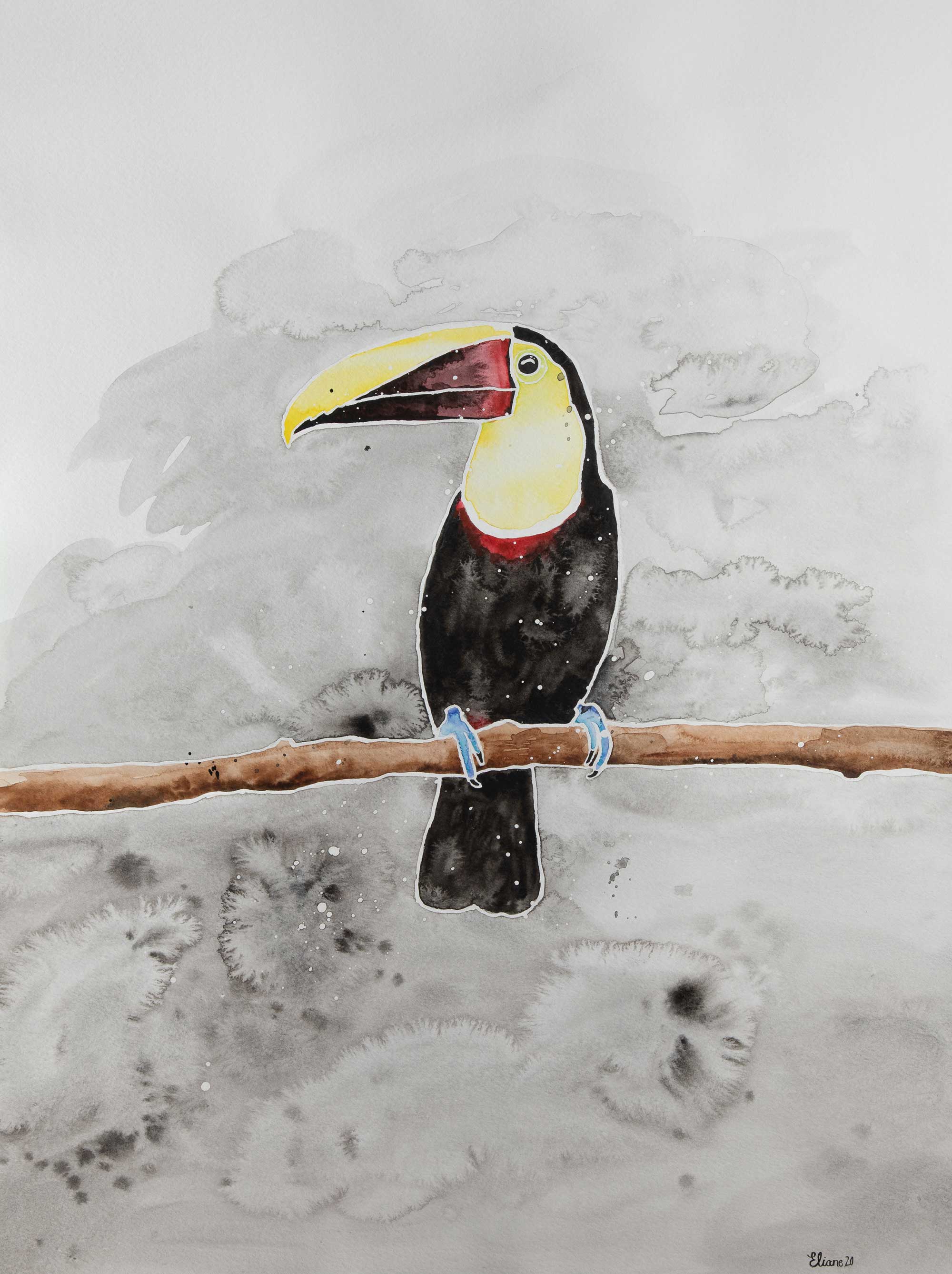 Toucan